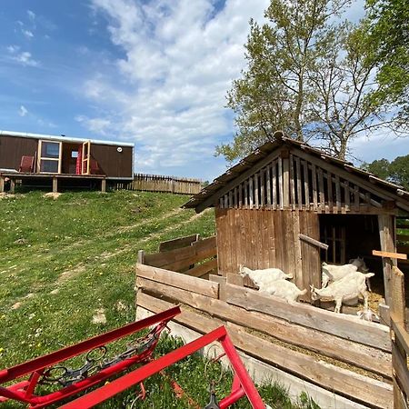 Maringotka Na Samote Na Kozi Farme Hotell Pobezovice Exteriör bild
