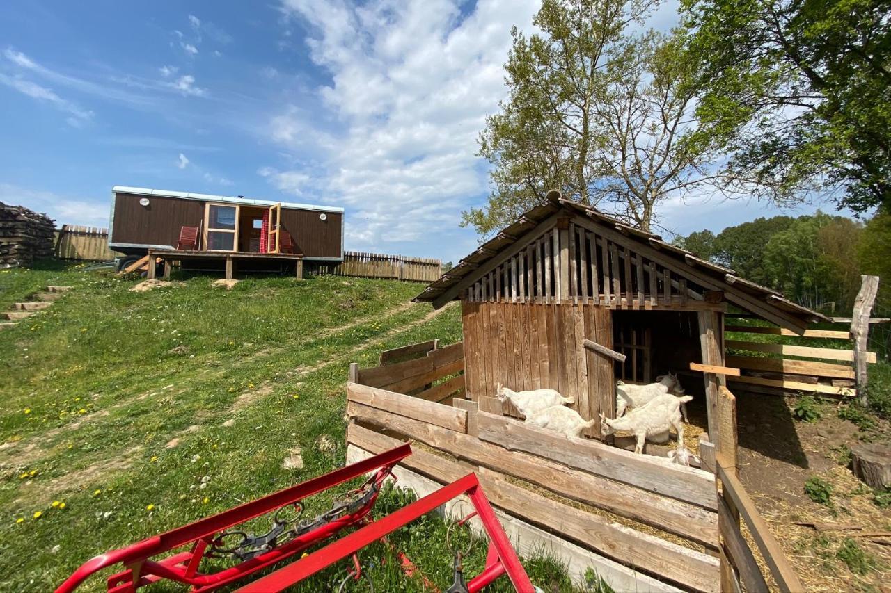 Maringotka Na Samote Na Kozi Farme Hotell Pobezovice Exteriör bild